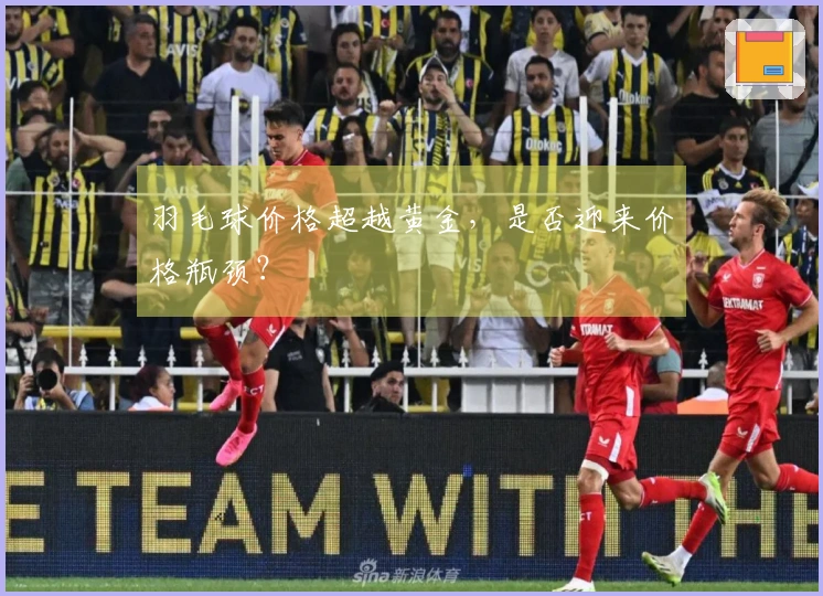 羽毛球价格超越黄金，是否迎来价格瓶颈？